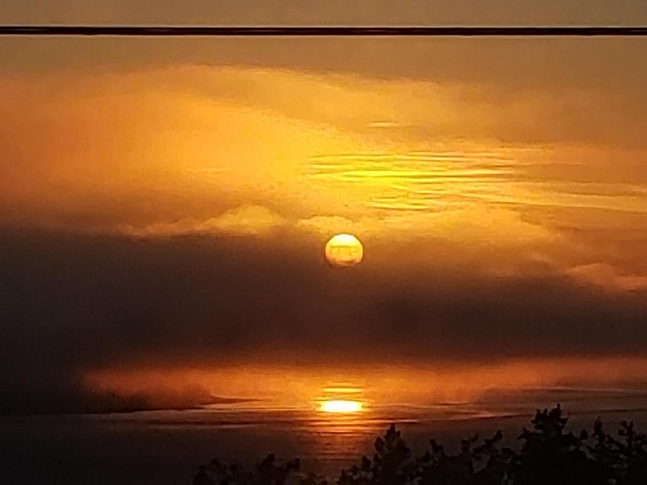Above Tide Motel Campbell River Exteriör bild